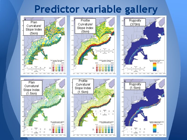 Predictor variable gallery Plan Curvature/ Slope Index (5 km) Plan Curvature/ Slope Index (1.