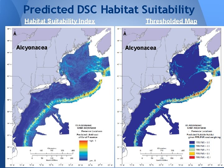 Predicted DSC Habitat Suitability Index Alcyonacea Thresholded Map Alcyonacea 