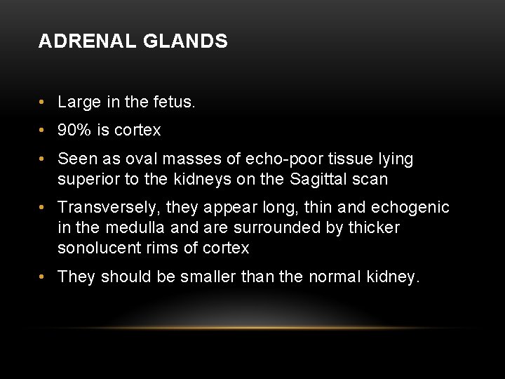 ADRENAL GLANDS • Large in the fetus. • 90% is cortex • Seen as