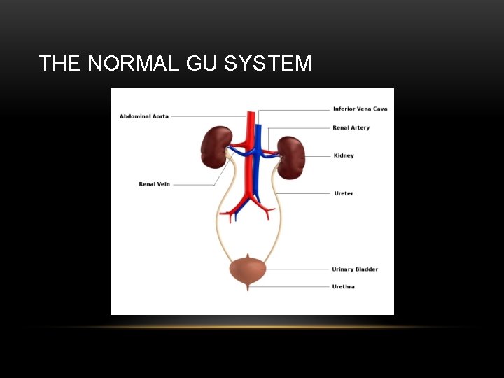 THE NORMAL GU SYSTEM 