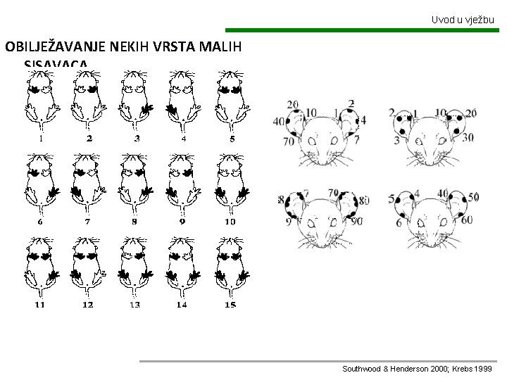 Uvod u vježbu OBILJEŽAVANJE NEKIH VRSTA MALIH SISAVACA Southwood & Henderson 2000; Krebs 1999