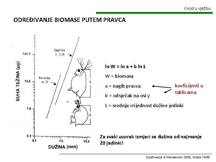 Uvod u vježbu ODREĐIVANJE BIOMASE PUTEM PRAVCA ln W = ln a + b