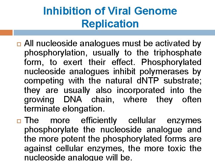 Inhibition of Viral Genome Replication All nucleoside analogues must be activated by phosphorylation, usually