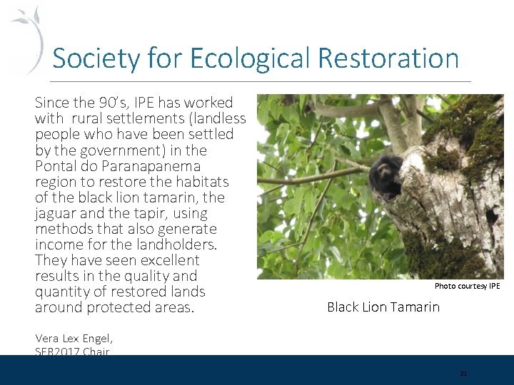 Society for Ecological Restoration Since the 90’s, IPE has worked with rural settlements (landless