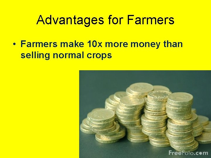 Advantages for Farmers • Farmers make 10 x more money than selling normal crops