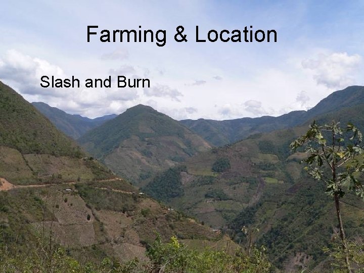 Farming & Location Slash and Burn 