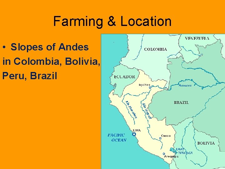Farming & Location • Slopes of Andes in Colombia, Bolivia, Peru, Brazil 