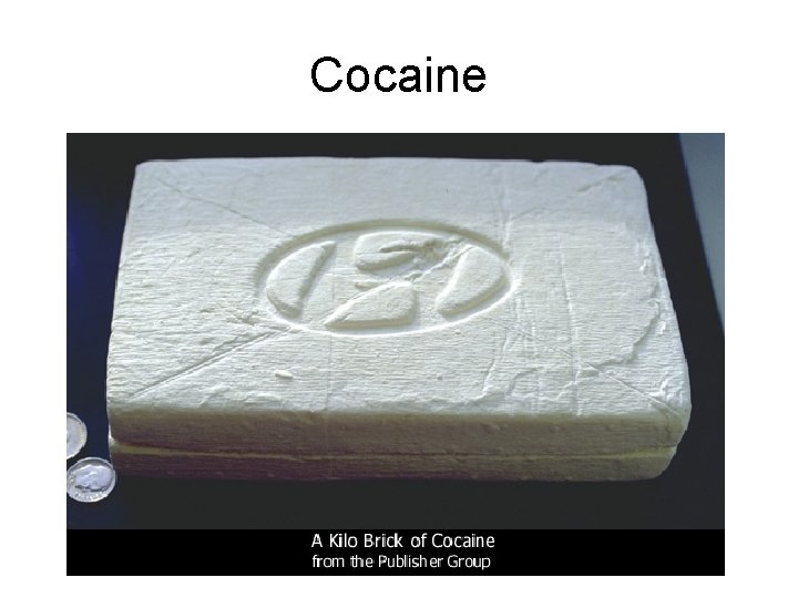 Cocaine 