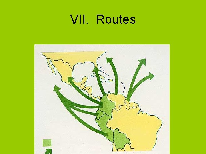 VII. Routes 