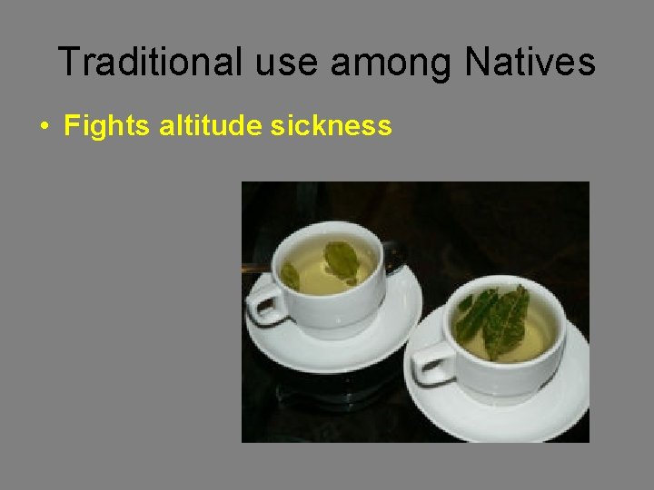 Traditional use among Natives • Fights altitude sickness 