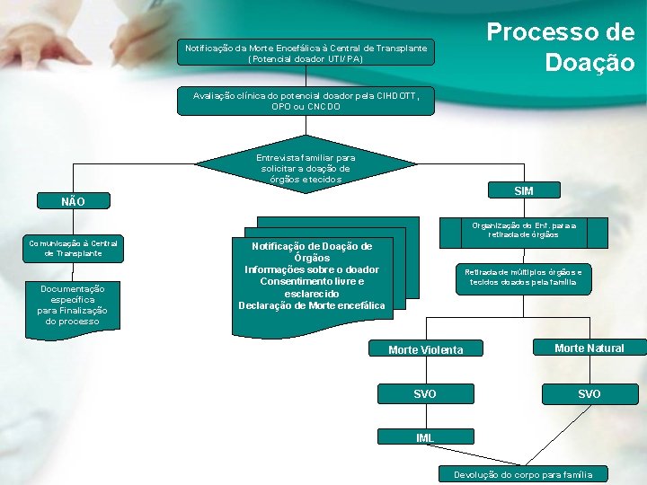 Processo de Doação Notificação da Morte Encefálica à Central de Transplante (Potencial doador UTI/