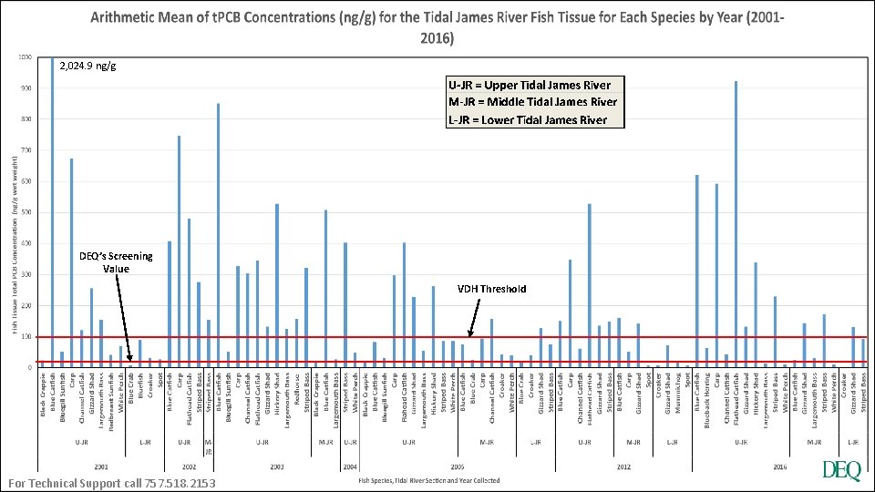 2, 024. 9 ng/g Tidal JR Fish Specis by year DEQ’s Screening Value VDH