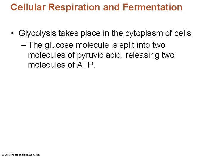 Cellular Respiration and Fermentation Cells break down glucose