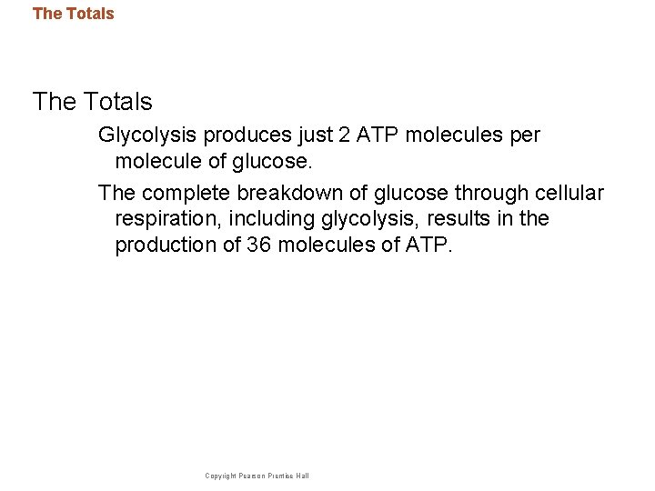 Cellular Respiration and Fermentation Cells break down glucose