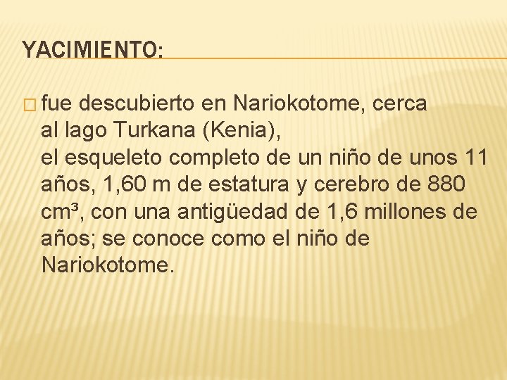 YACIMIENTO: � fue descubierto en Nariokotome, cerca al lago Turkana (Kenia), el esqueleto completo