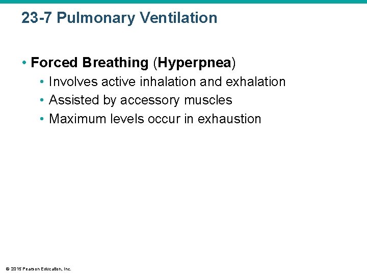 23 -7 Pulmonary Ventilation • Forced Breathing (Hyperpnea) • Involves active inhalation and exhalation