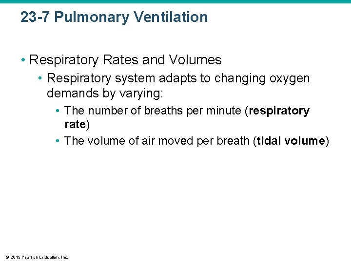 23 -7 Pulmonary Ventilation • Respiratory Rates and Volumes • Respiratory system adapts to