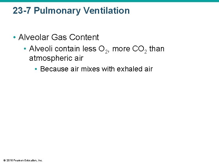 23 -7 Pulmonary Ventilation • Alveolar Gas Content • Alveoli contain less O 2,