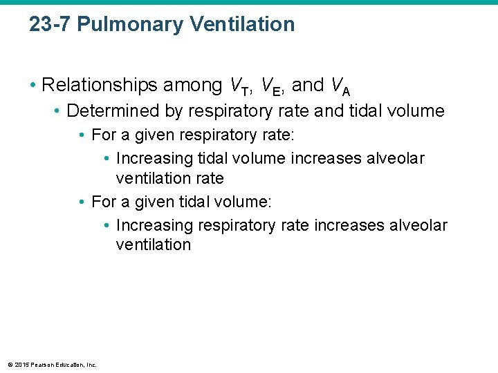 23 -7 Pulmonary Ventilation • Relationships among VT, VE, and VA • Determined by