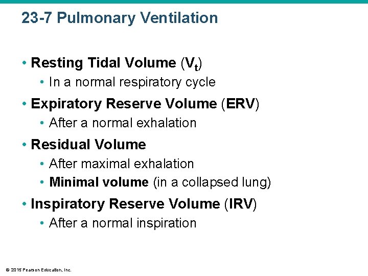 23 -7 Pulmonary Ventilation • Resting Tidal Volume (Vt) • In a normal respiratory