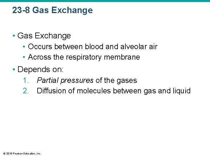 23 -8 Gas Exchange • Occurs between blood and alveolar air • Across the