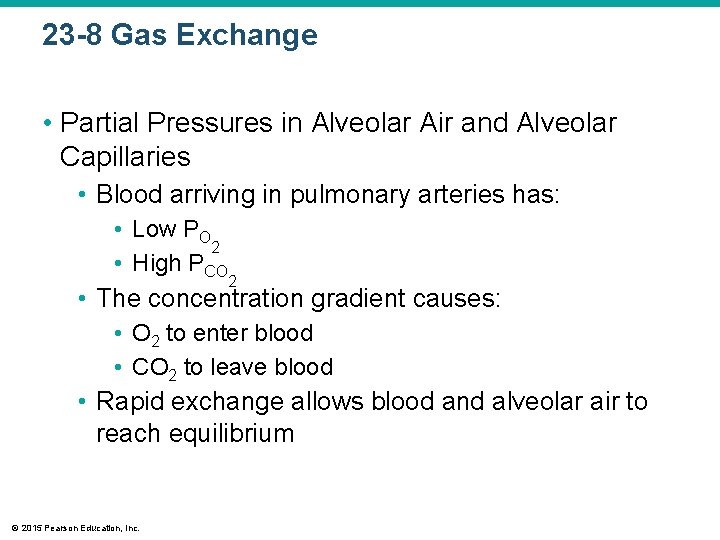 23 -8 Gas Exchange • Partial Pressures in Alveolar Air and Alveolar Capillaries •