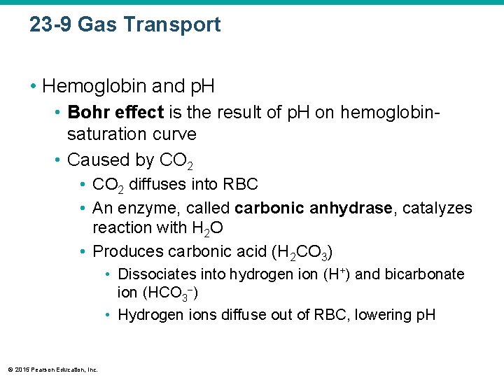 23 -9 Gas Transport • Hemoglobin and p. H • Bohr effect is the