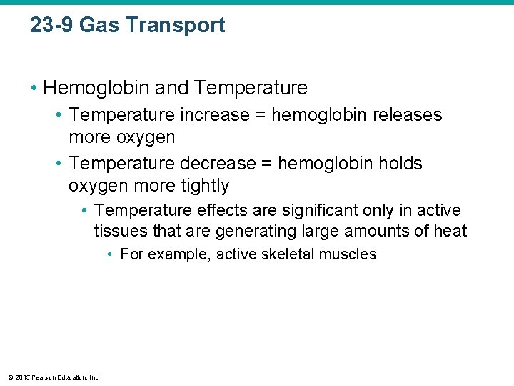 23 -9 Gas Transport • Hemoglobin and Temperature • Temperature increase = hemoglobin releases