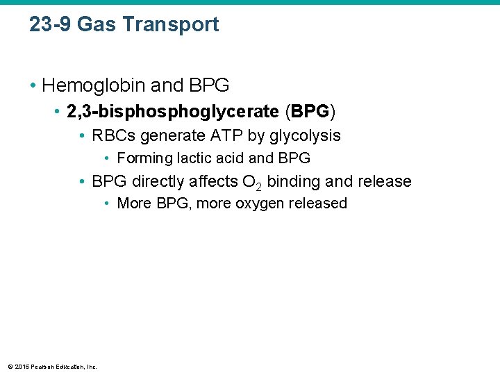 23 -9 Gas Transport • Hemoglobin and BPG • 2, 3 -bisphoglycerate (BPG) •