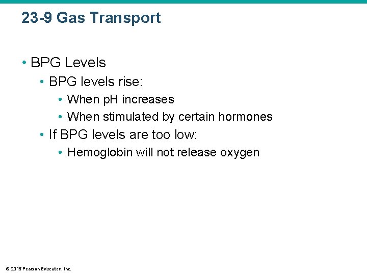 23 -9 Gas Transport • BPG Levels • BPG levels rise: • When p.