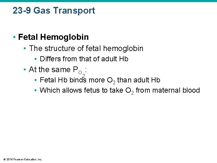 23 -9 Gas Transport • Fetal Hemoglobin • The structure of fetal hemoglobin •