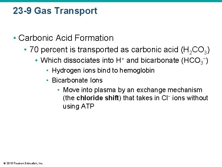 23 -9 Gas Transport • Carbonic Acid Formation • 70 percent is transported as