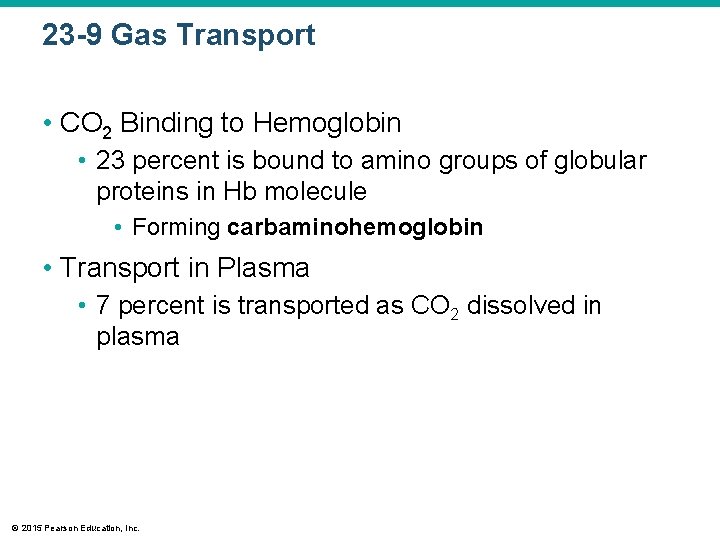 23 -9 Gas Transport • CO 2 Binding to Hemoglobin • 23 percent is