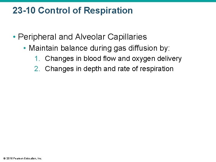 23 -10 Control of Respiration • Peripheral and Alveolar Capillaries • Maintain balance during