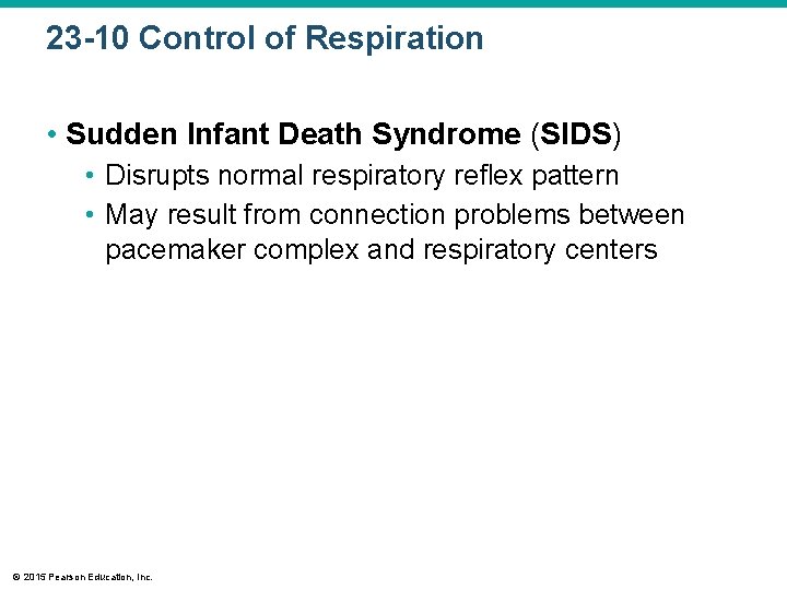 23 -10 Control of Respiration • Sudden Infant Death Syndrome (SIDS) • Disrupts normal