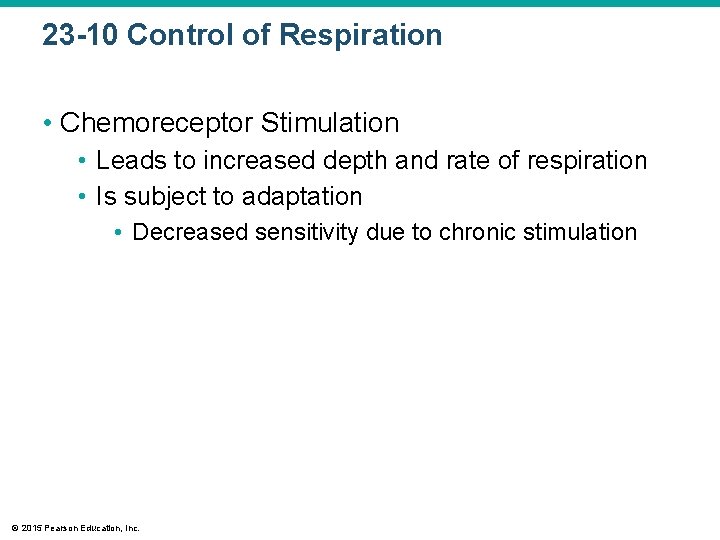 23 -10 Control of Respiration • Chemoreceptor Stimulation • Leads to increased depth and