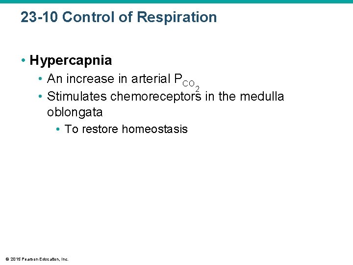 23 -10 Control of Respiration • Hypercapnia • An increase in arterial PCO 2