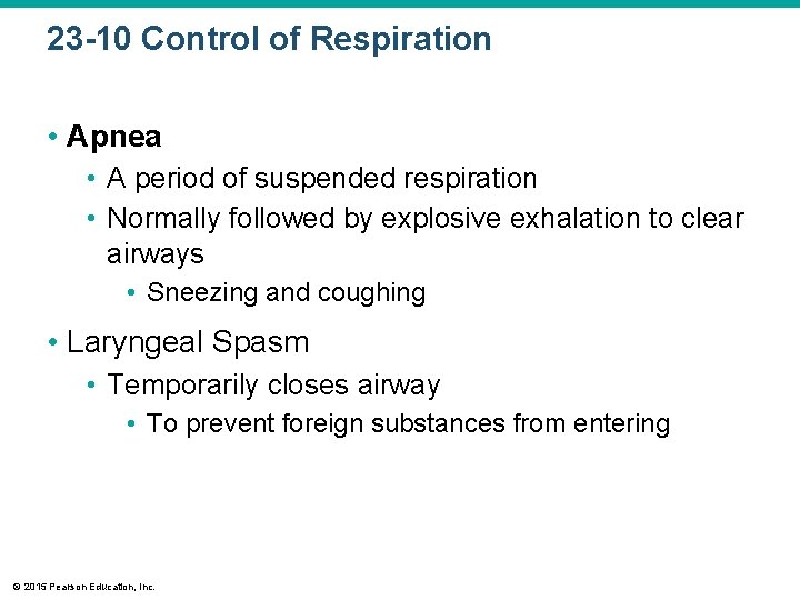 23 -10 Control of Respiration • Apnea • A period of suspended respiration •