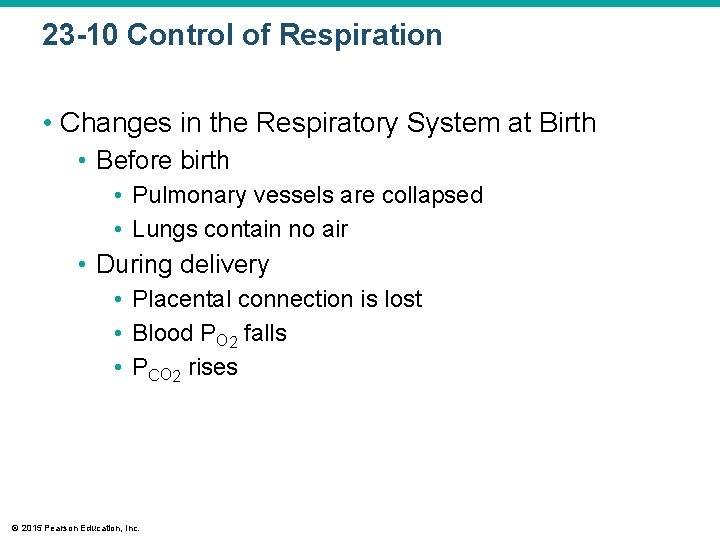 23 -10 Control of Respiration • Changes in the Respiratory System at Birth •