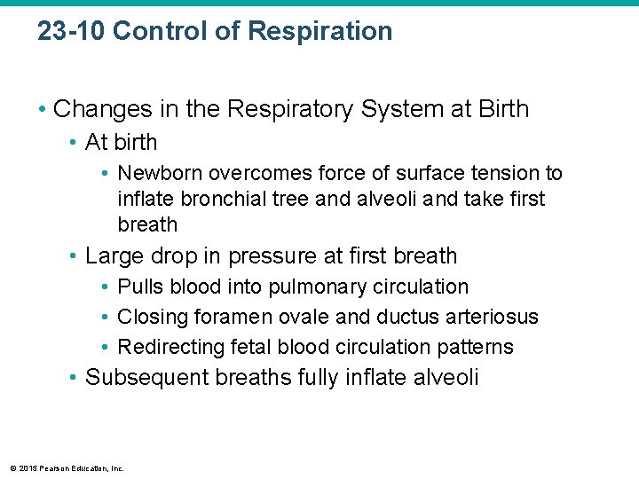 23 -10 Control of Respiration • Changes in the Respiratory System at Birth •