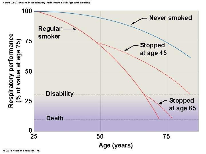 Figure 23 -27 Decline in Respiratory Performance with Age and Smoking. Respiratory performance (%