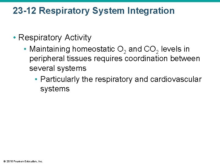 23 -12 Respiratory System Integration • Respiratory Activity • Maintaining homeostatic O 2 and