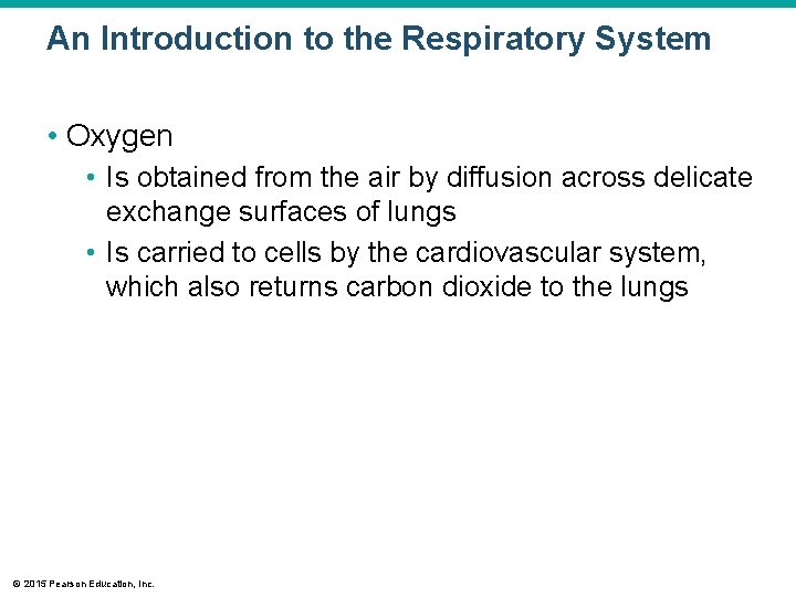 An Introduction to the Respiratory System • Oxygen • Is obtained from the air