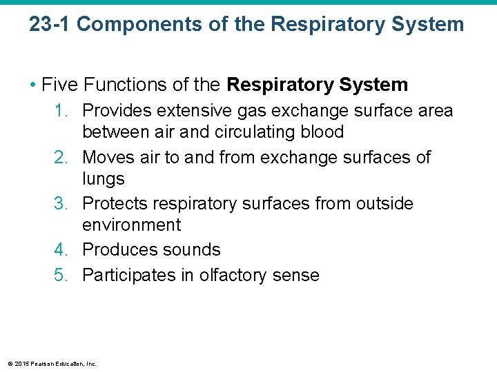 23 -1 Components of the Respiratory System • Five Functions of the Respiratory System