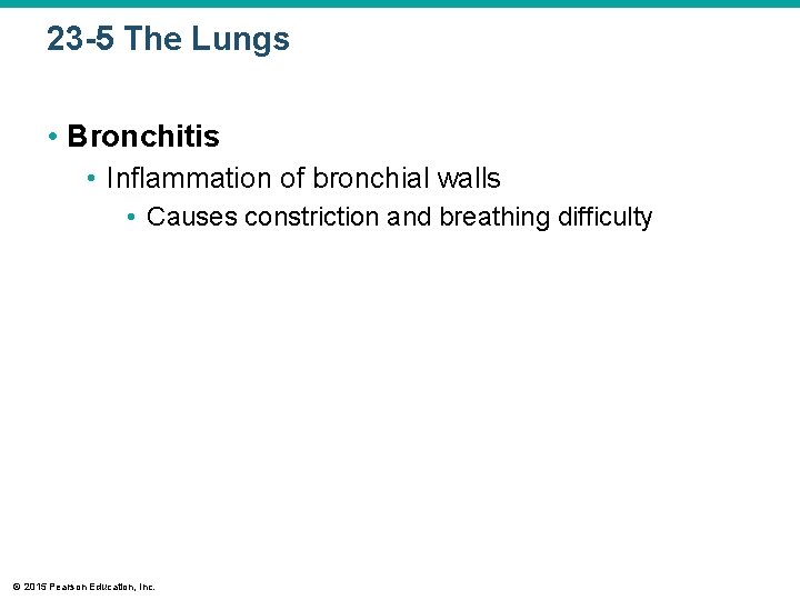 23 -5 The Lungs • Bronchitis • Inflammation of bronchial walls • Causes constriction