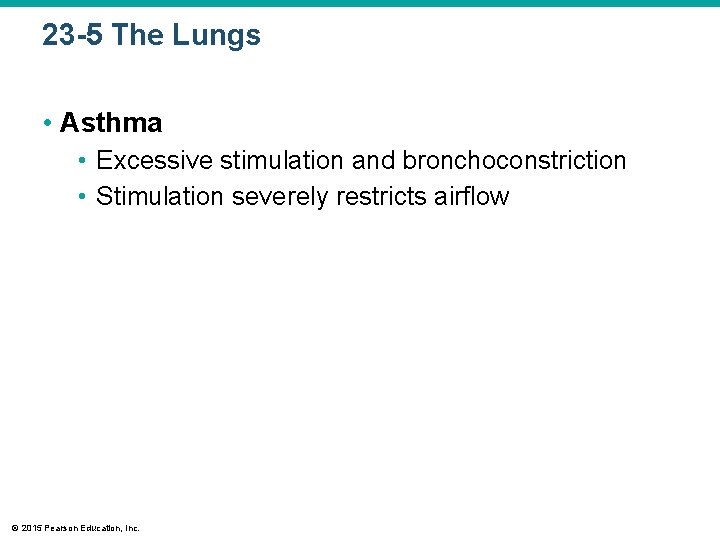 23 -5 The Lungs • Asthma • Excessive stimulation and bronchoconstriction • Stimulation severely
