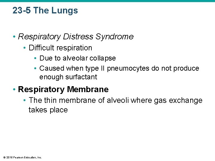 23 -5 The Lungs • Respiratory Distress Syndrome • Difficult respiration • Due to