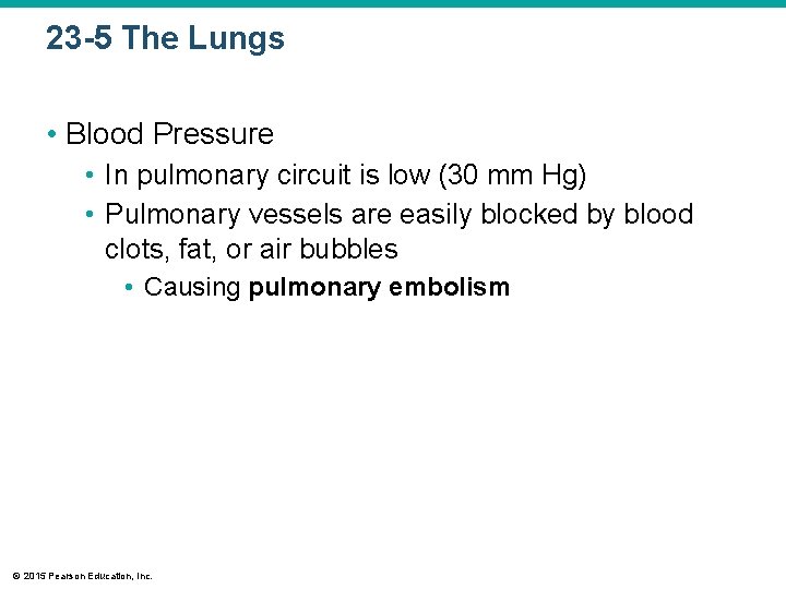 23 -5 The Lungs • Blood Pressure • In pulmonary circuit is low (30