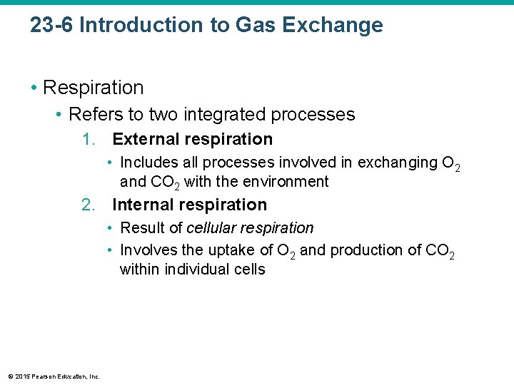 23 -6 Introduction to Gas Exchange • Respiration • Refers to two integrated processes