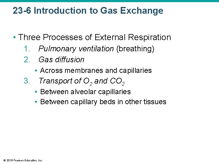 23 -6 Introduction to Gas Exchange • Three Processes of External Respiration 1. Pulmonary
